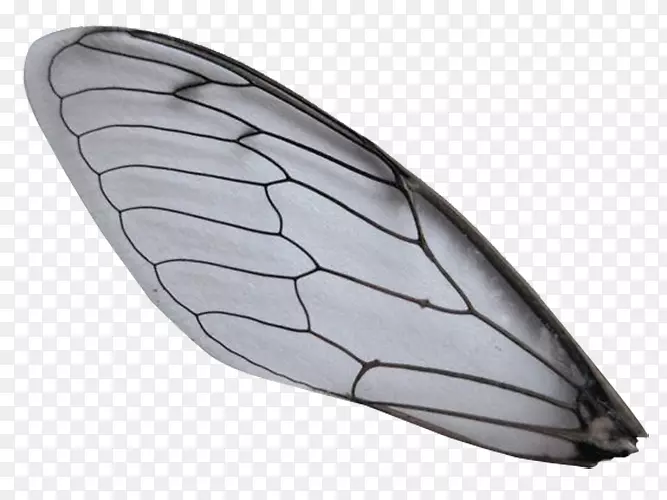 ����������Ͷ�.���γ��-������