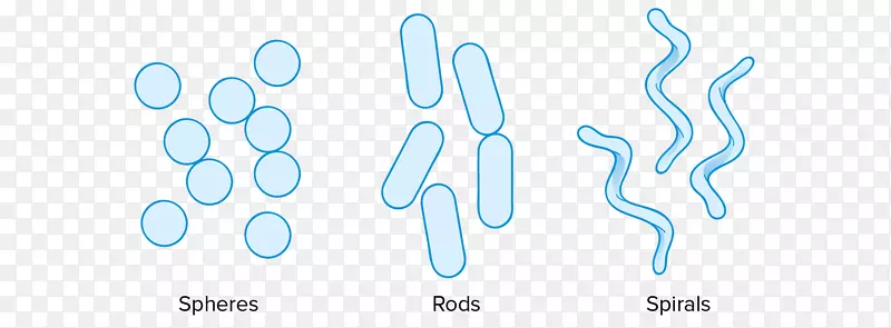 �̱������ֽ��ָ���-������