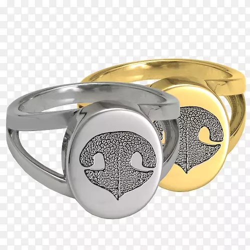 v������������.��ָ-������