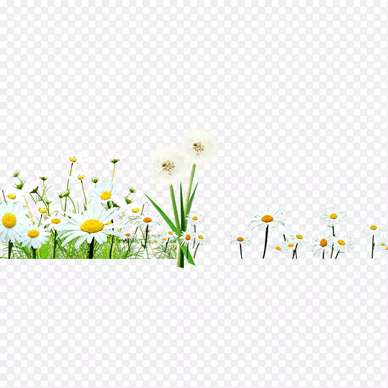 �ջ�С����ͼ��-�ջ�-������