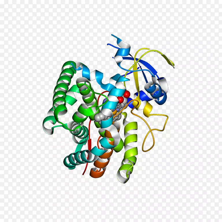 ���������鱦�л����߼�������-������
