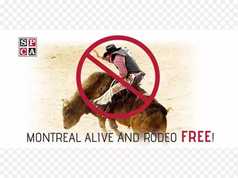 С��������ӱ����-С��-������