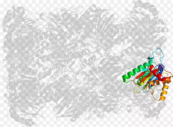 ����������-������