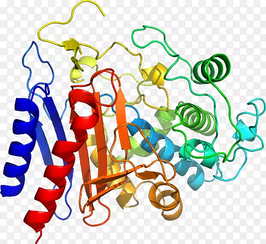 ������Ϊ���л�����������-������