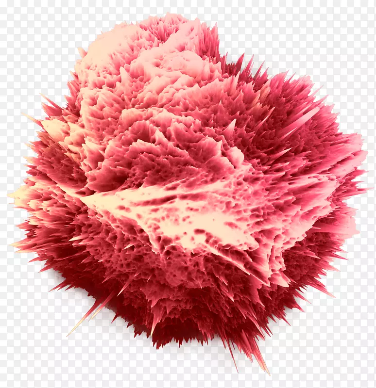 ŷ��������ڹ��ʲ���-ҵ��-������