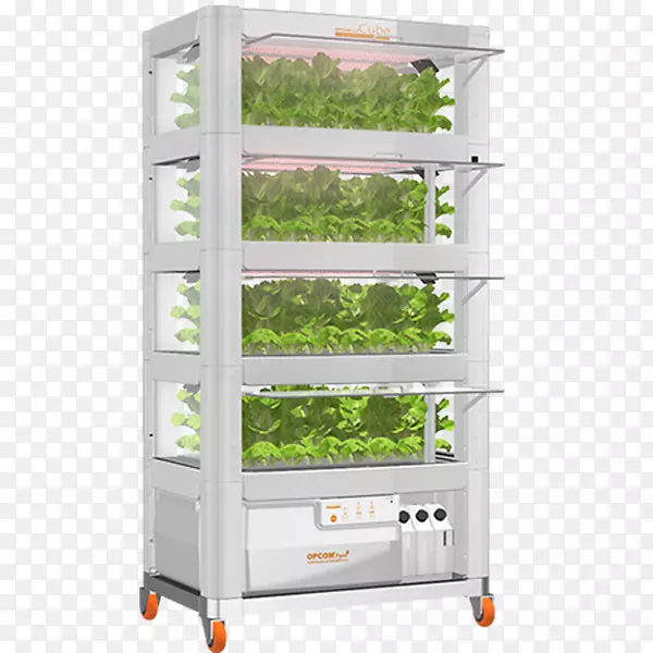 ����ʳƷ������.ˮ����-������