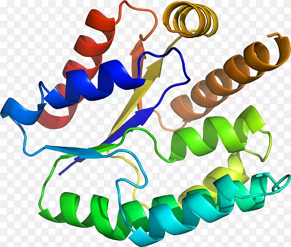 ���������л����߼�������-������