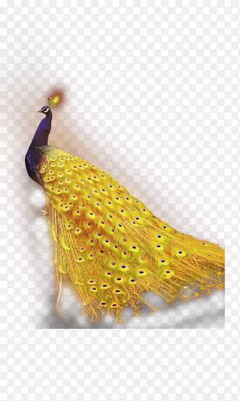 ��ȸ����androidӦ�ó����-��ȸ-������