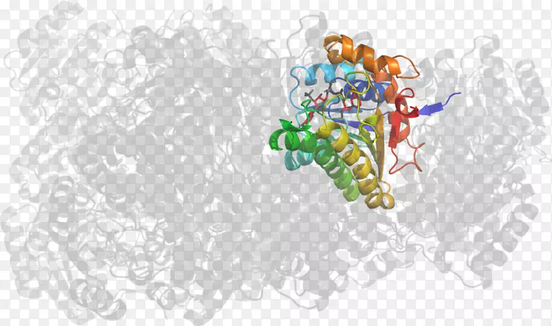 ��ͨ�����ֽ�����������-������