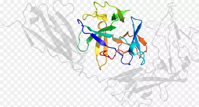 ƽ����Ƽ�����.���-������