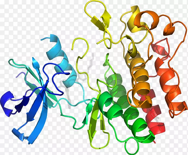 ���������л����߼�������-������