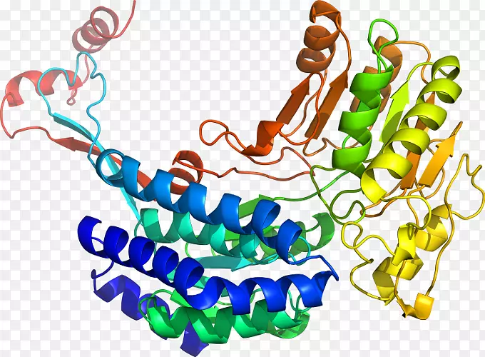 ���������л����߼�������-������