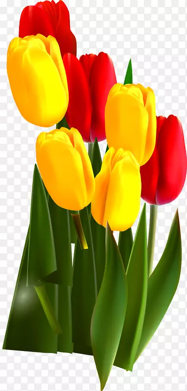 �����㻨������-������