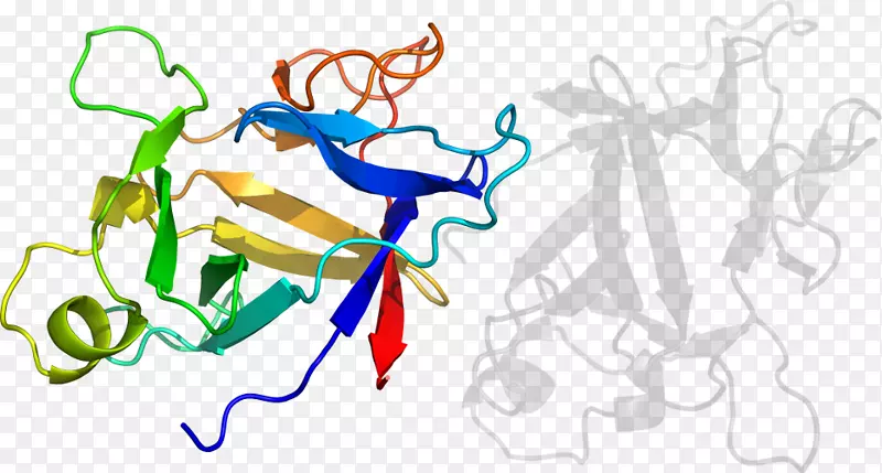 ƽ����Ƽ�����.���-������