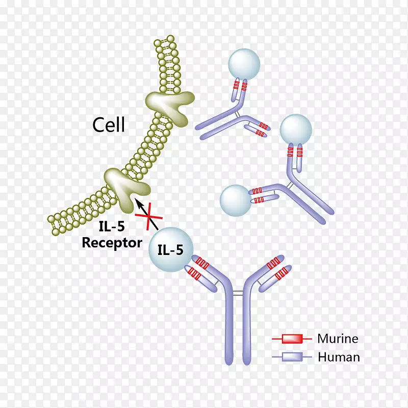 �׽���-5-����������������Ī����ҩ��-ҩ��-������