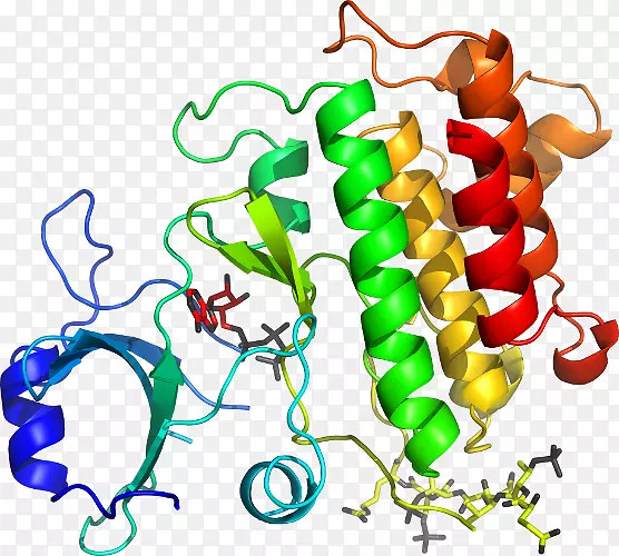 ʳƷ�����������߼�������-������