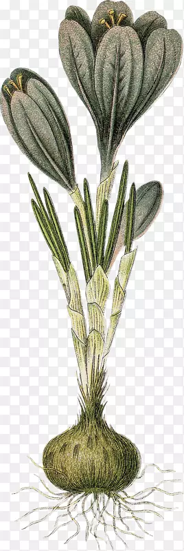 �ݻ������ݱ�ֲ�ﾥ��-������