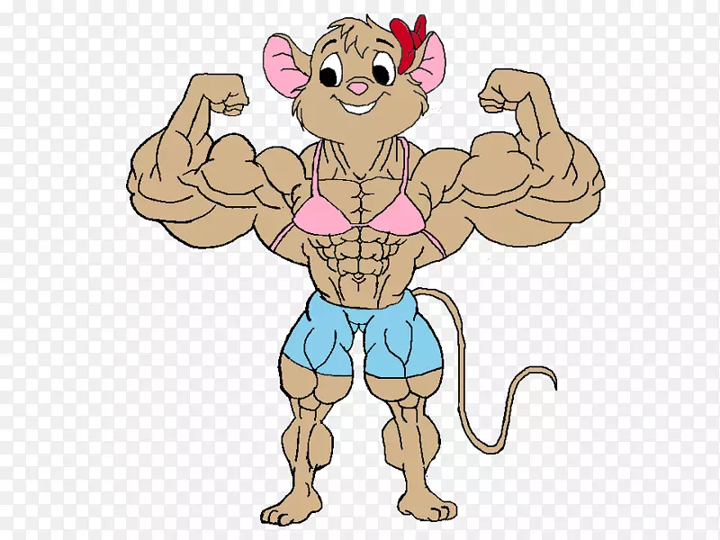 ����ά�Ǽ����ͷ��-����ά��-������