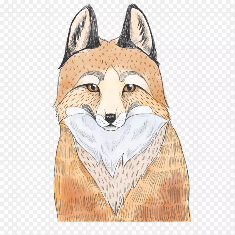 ˮ�ʻ�-������