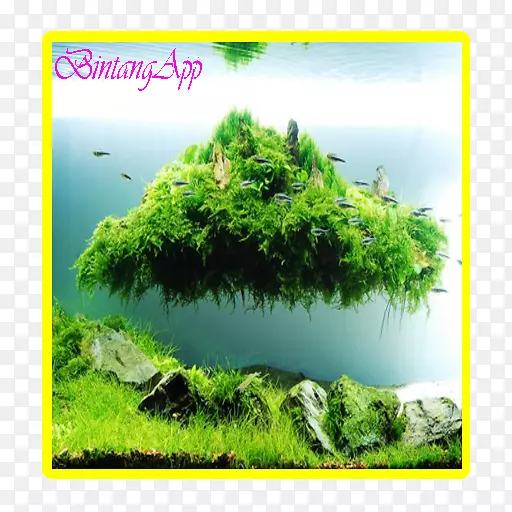 ������ϵ+android��ˮ���-android-������