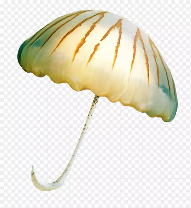 �����ʼ����ļ�����-�����ʼ�-������