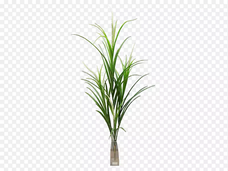 �ݣ��˹�����ާ��ֲ�ֲ�ﾥ-��-������