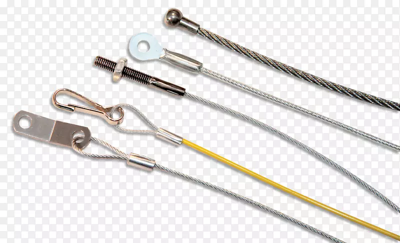 �ȵ�ż������-������