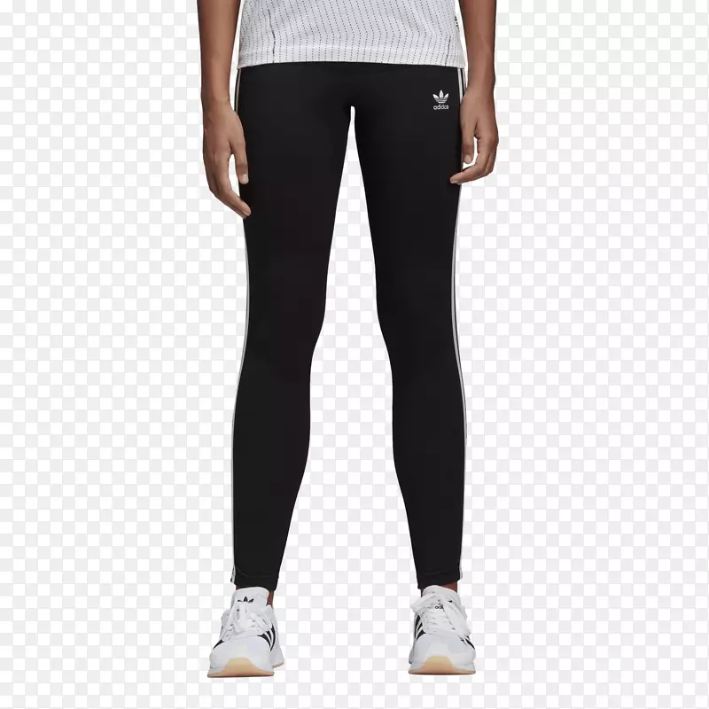 t�����ϴ�˹�˶��������-̹���-������