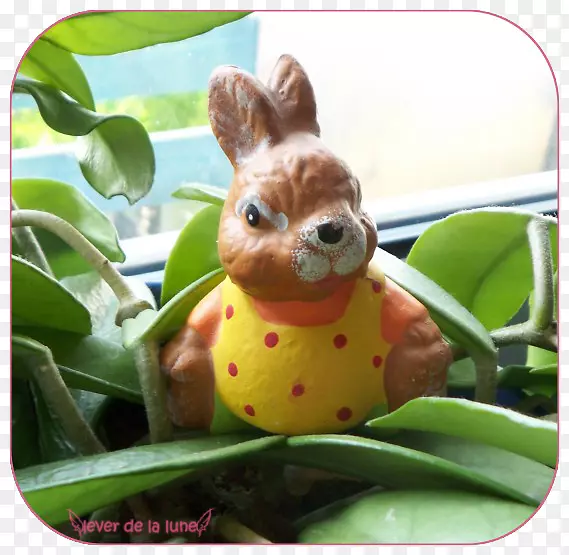 ������β-������