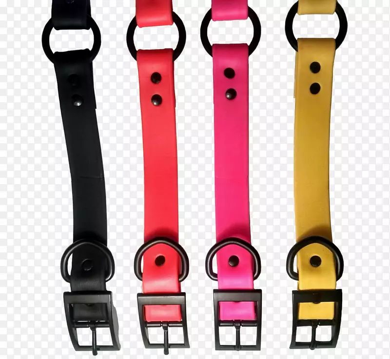 ����ʱ��-����-������