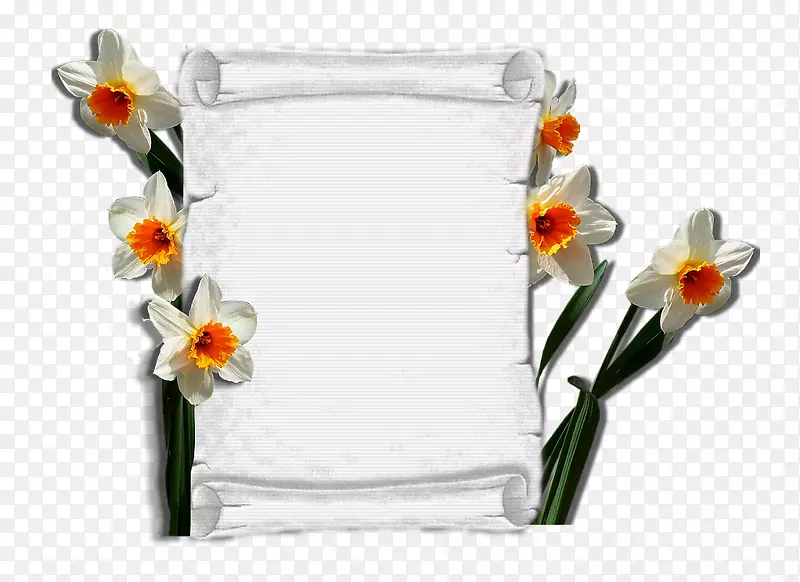 ������ƻ�ƿ�л���ƿ-������