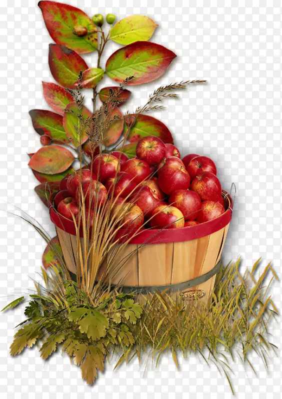 ƻ������-ƻ��-������