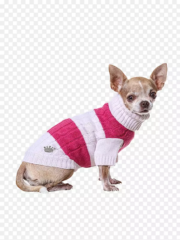 ����ֳ�����ް鹷�·��������Ӻ͹���-������