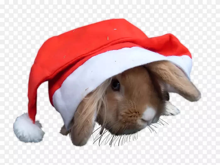 �����������-�����-������