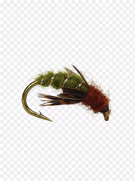 �����˹�Ӭ���Ӽ����-������