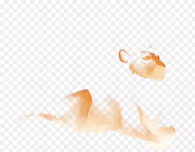 ��ָ�����ֽ�����л������-������