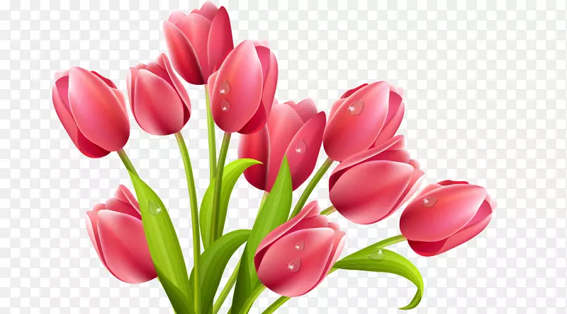 �����㻨������-������-������