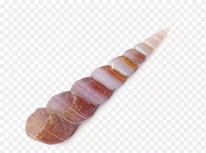 ��ָ����-������