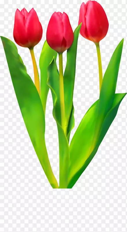 �����㻨������-������-������