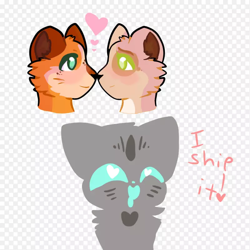 ����Сè��������Сè-������