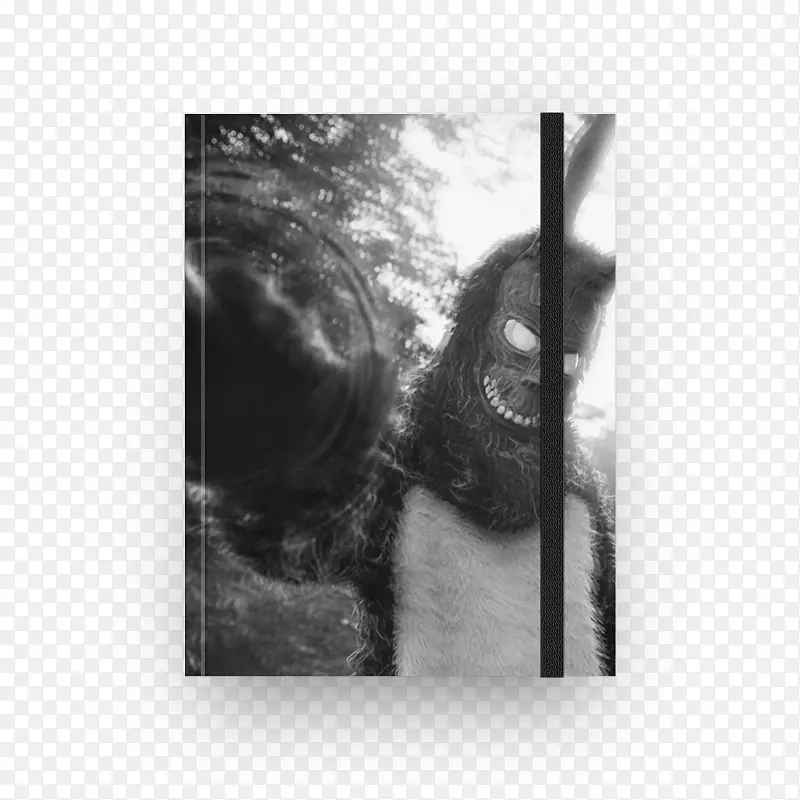 ������ӰͼƬ����Ӱ-������