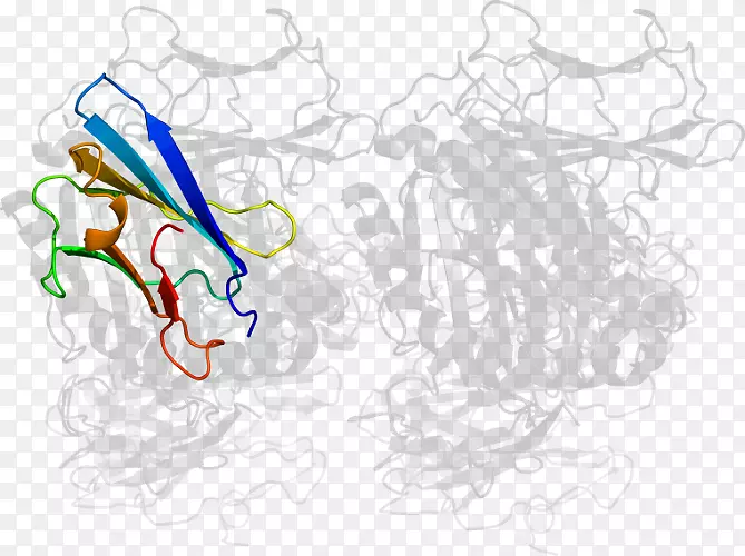 ���������-������