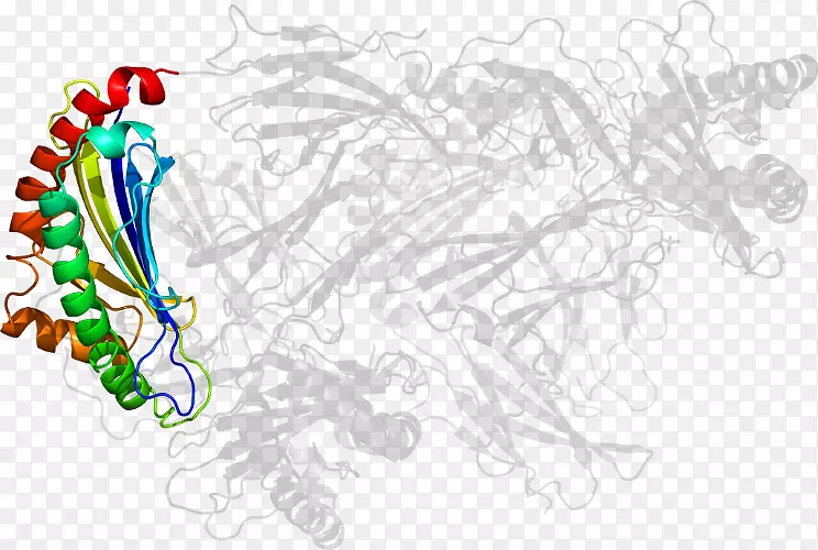 ƽ����Ƽ�����.���-������