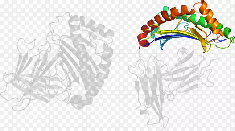 ƽ����ƻ滭���������-������