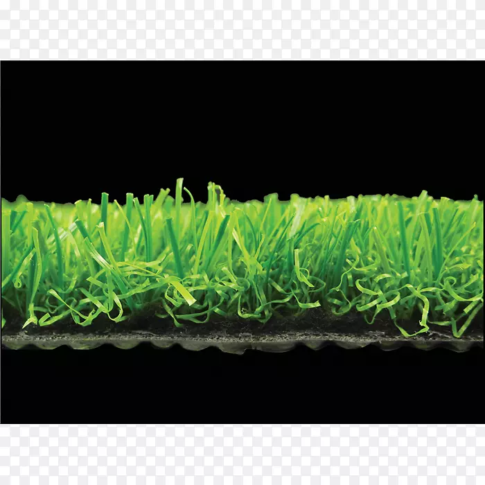 �ݿ��˹���-������