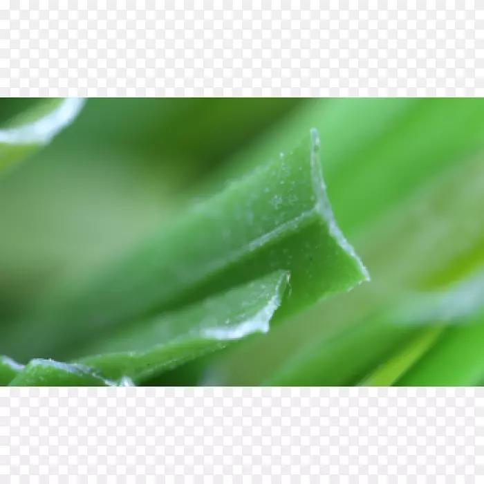 �������˹��ݵ�-������