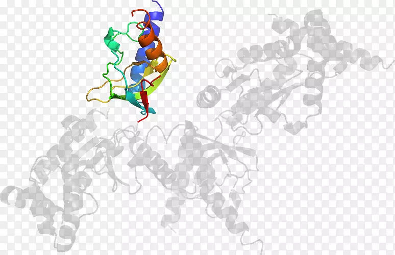 �����ֽ�ַ����Լ���������-������