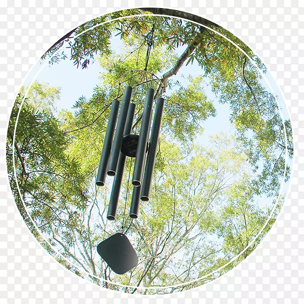 ��-��-������