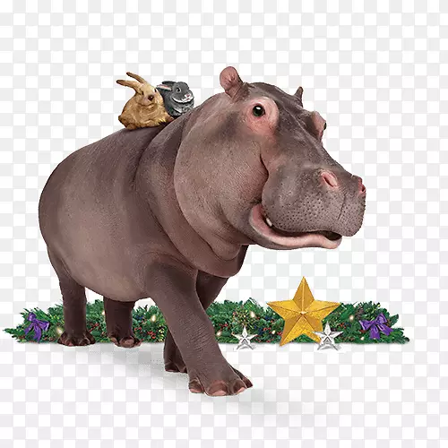 ����½������-������