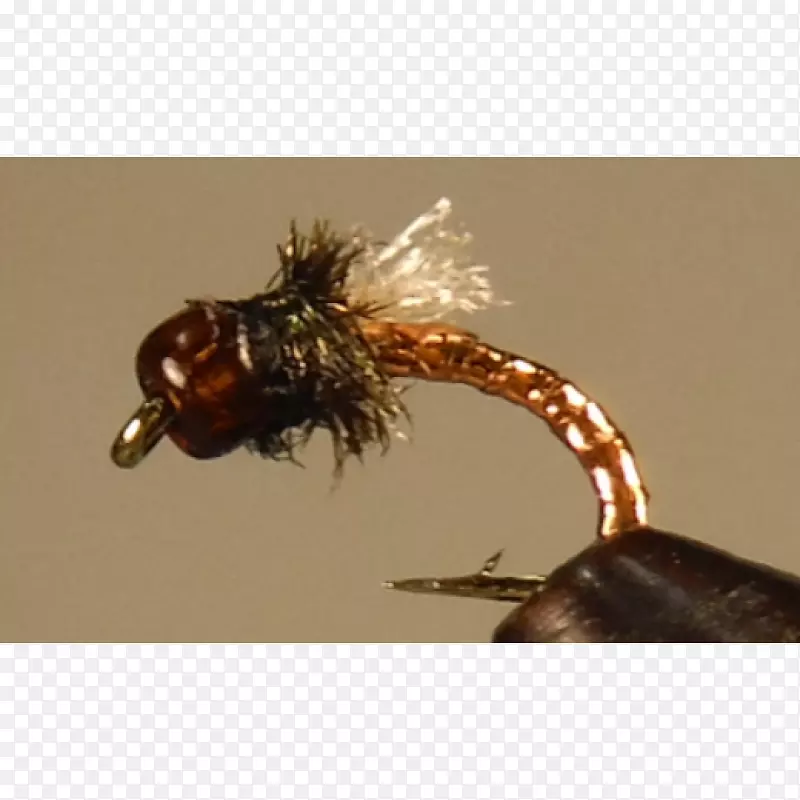 ����-������